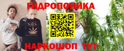 шишки Коммунар