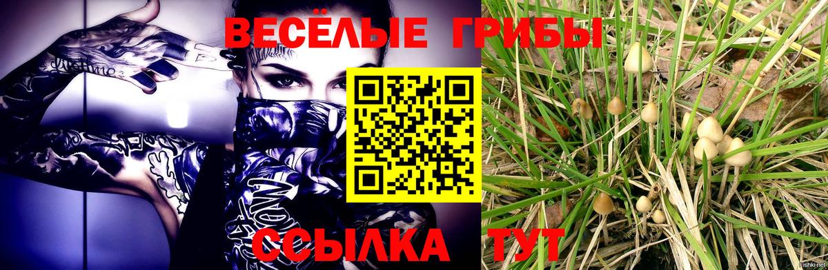Псилоцибиновые грибы Cubensis Куйбышев